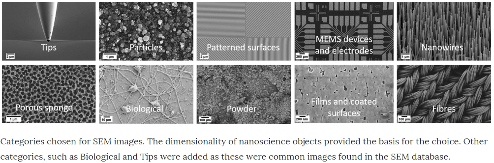 Dataset Images